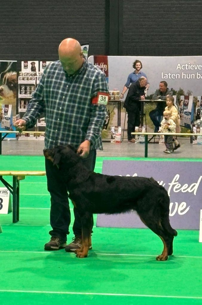 L'ami De La Campagne - Dogshow Maastricht 28/09/24