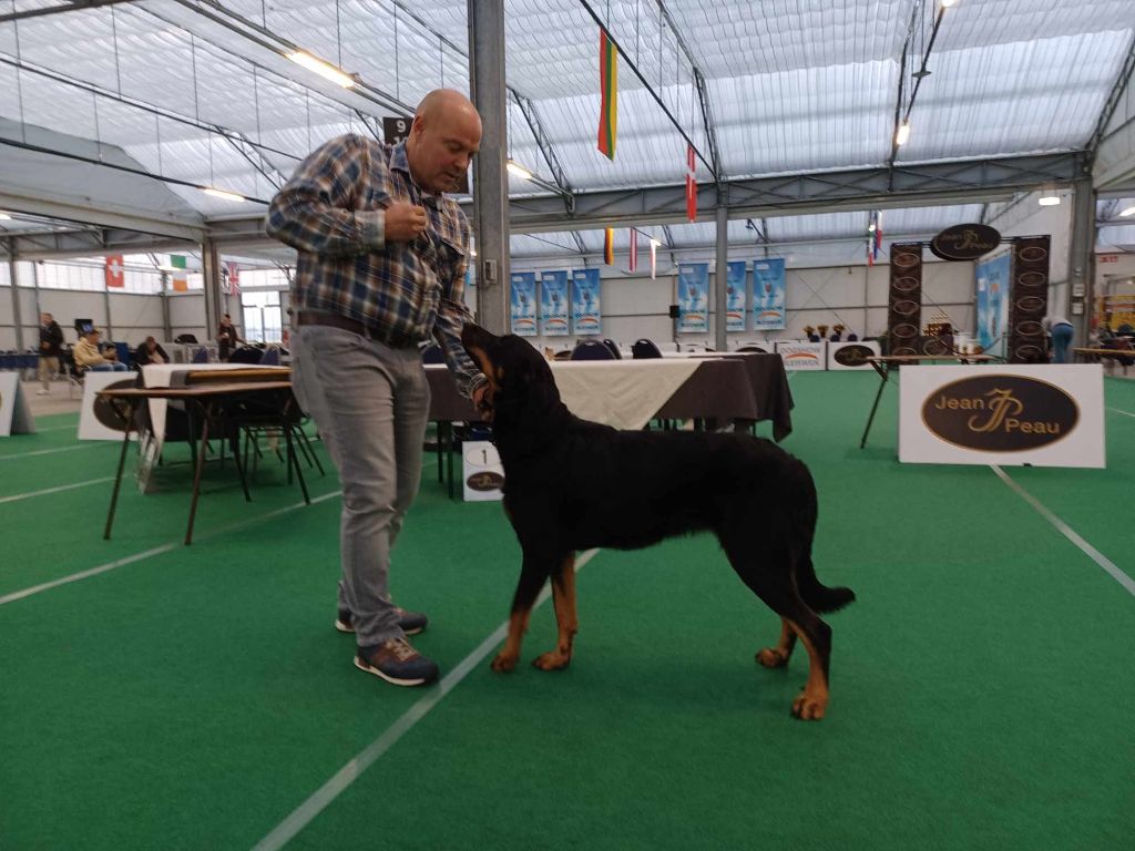 L'ami De La Campagne - Dogshow Bleiswijk (NL)