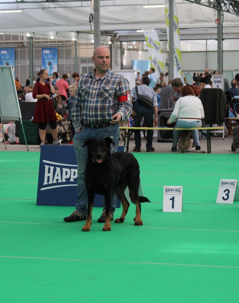 L'ami De La Campagne - Résultat Expo Bleiswijk