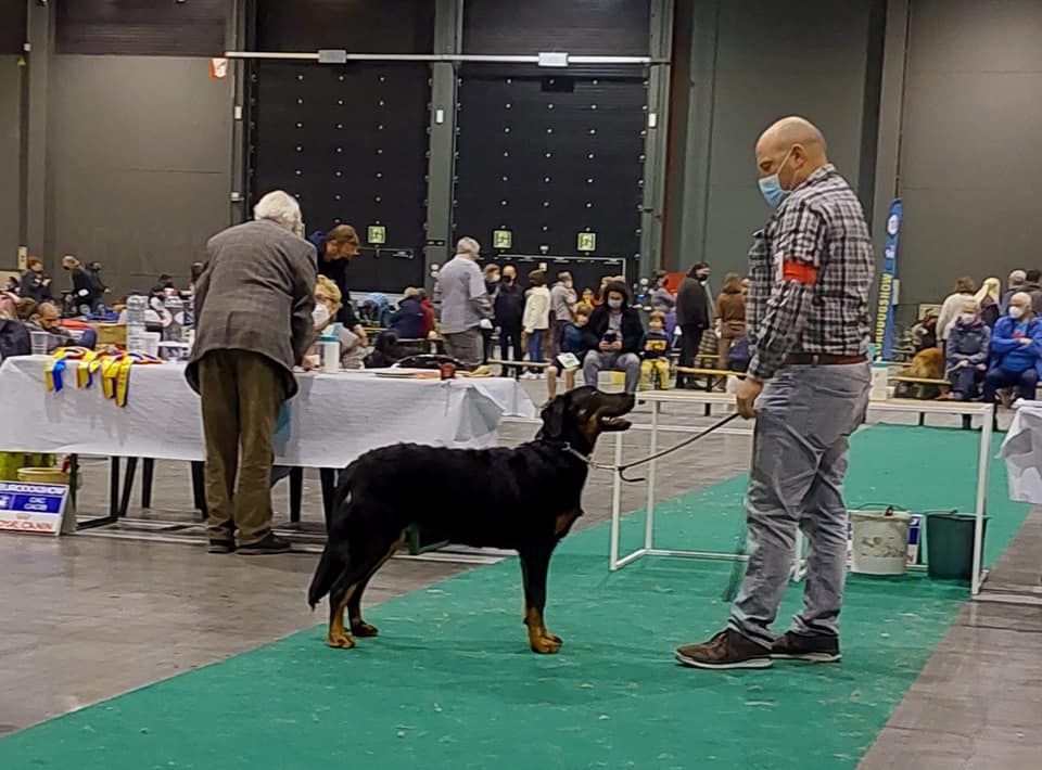 L'ami De La Campagne - Eurodogshow Kortrijk