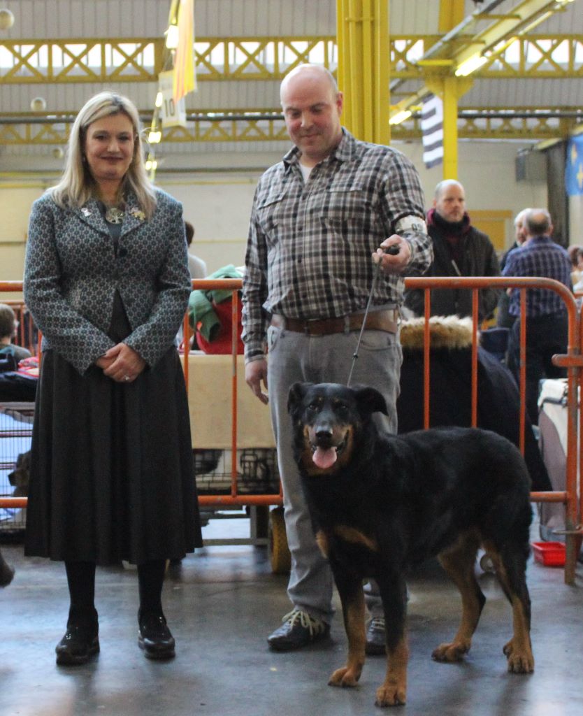 L'ami De La Campagne - Expo canine Mouscron