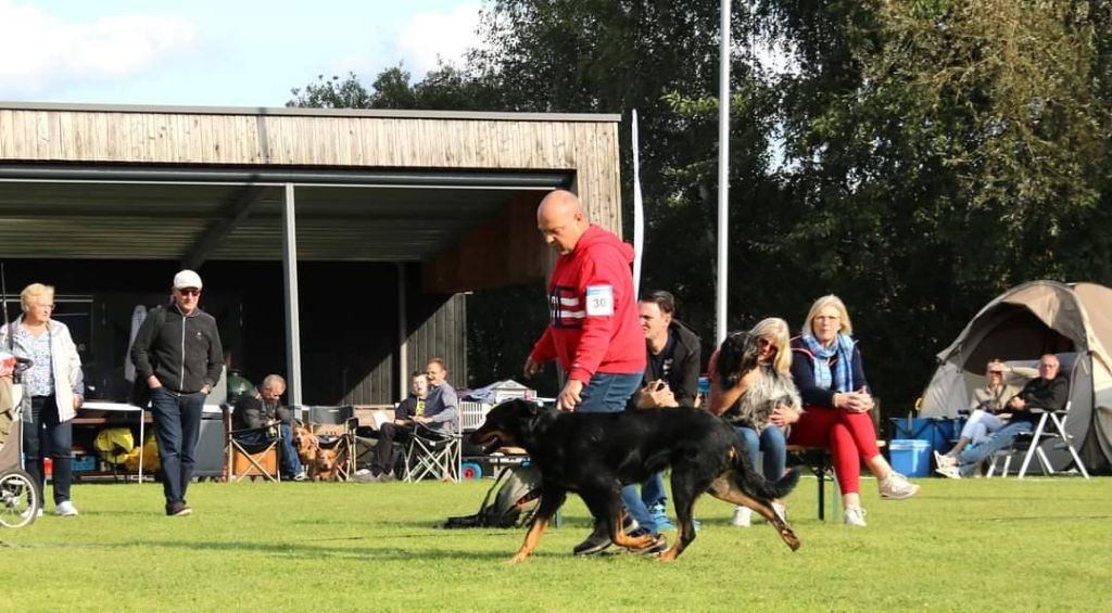 L'ami De La Campagne - Dogshow Zwolle Outdoor