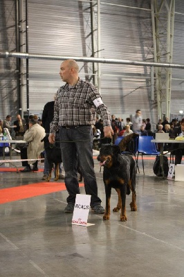 L'ami De La Campagne - Expo Douai.