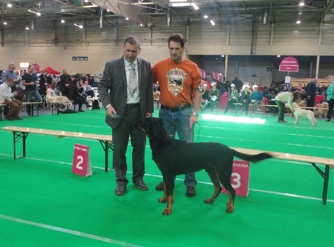 L'ami De La Campagne - Dogshow Maastricht (2 jours)