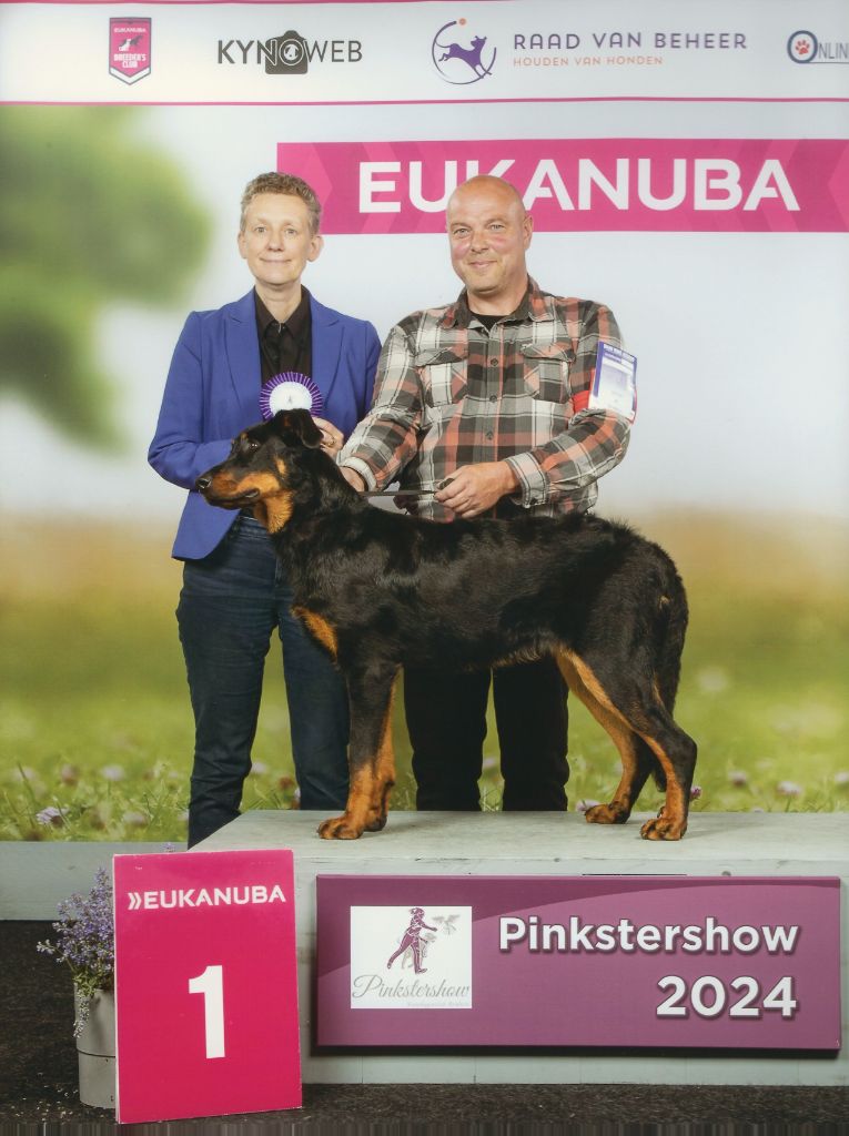 L'ami De La Campagne - Résultat / resultaat Pinkstershow