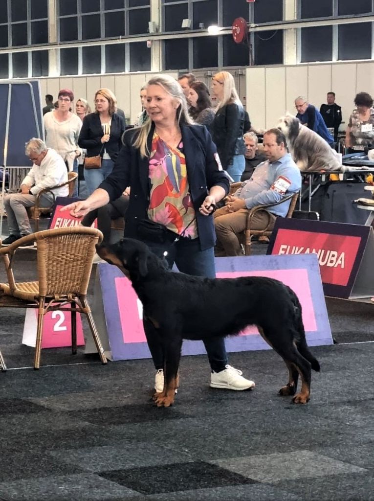 L'ami De La Campagne - Dogshow Gorinchem Pinkstershow