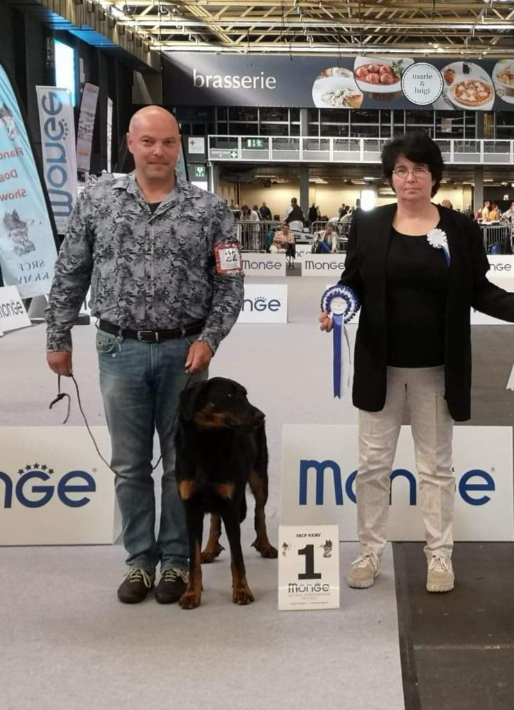 L'ami De La Campagne - Flanders dogshow Gent