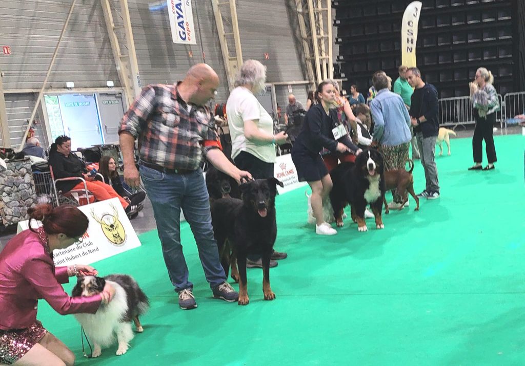 L'ami De La Campagne - Dogshow Douai 13 - 14/07/2024