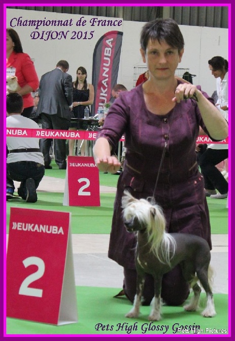 Pets High - Championnat de France 2015