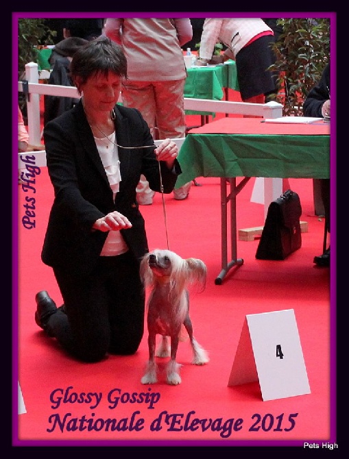 Pets High - Nationale d'élevage 2015