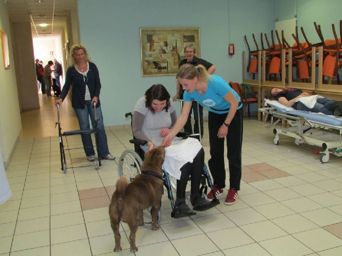 Des Lueurs Australes - Délichoc "Chien Visiteur"