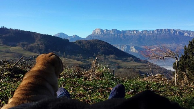 Des Lueurs Australes - de campagnard à montagnard 