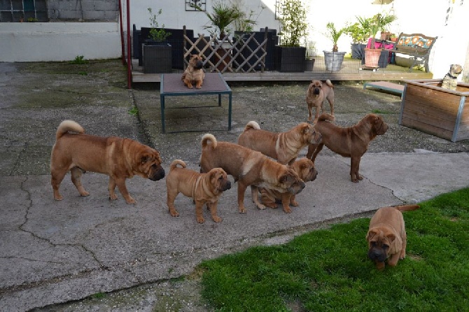 Des Lueurs Australes - les ptits mecs attendent leurs familles