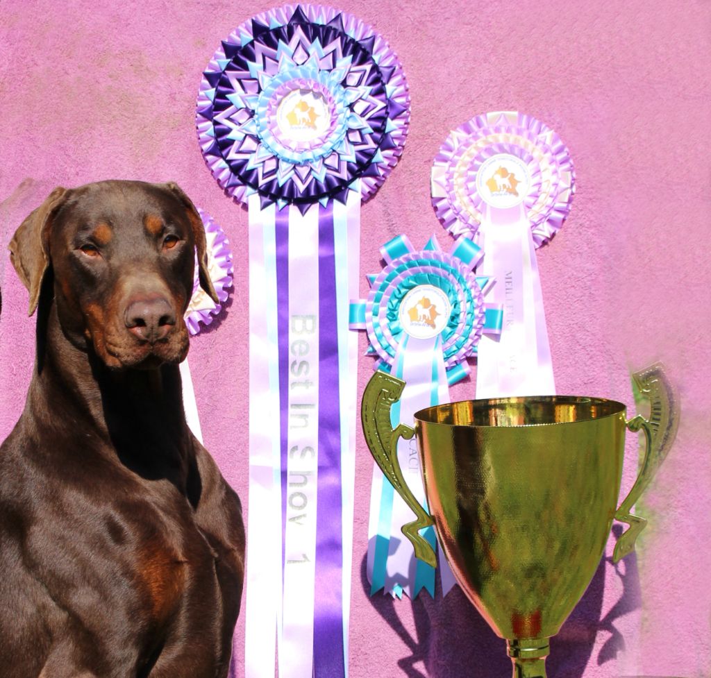 OUKAZE 1er du BEST IN SHOW !!