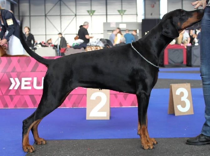 Des Brumes De Kalhan - IDEN et JAW-BLACK Champions de Suisse ! 