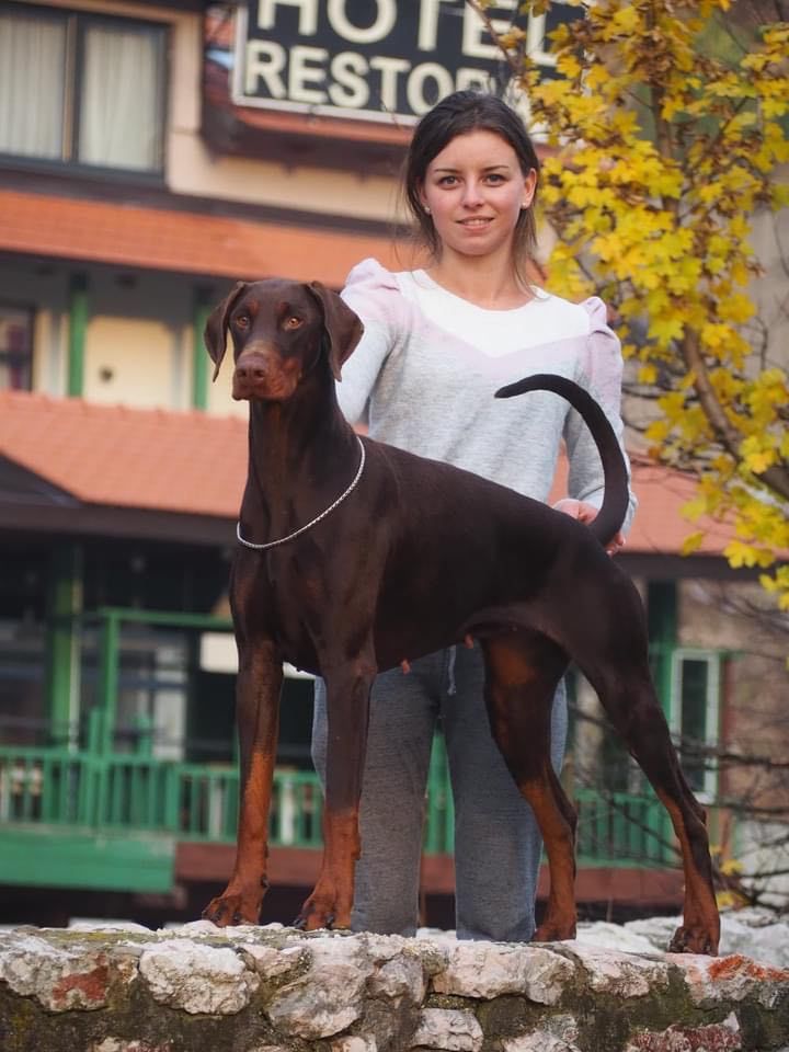 Des Brumes De Kalhan - Prestige, Championne de Bosnie