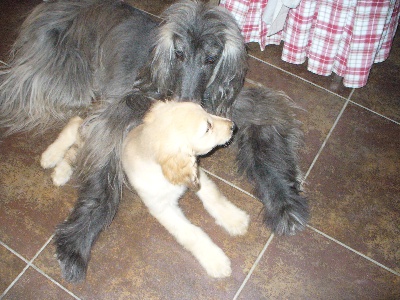 d'Agathe's D-Day - dernier calin a maman  avant le  depart 