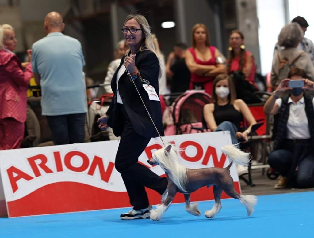 Little Dog Of Dream - Championnat du Monde Madrid 2022