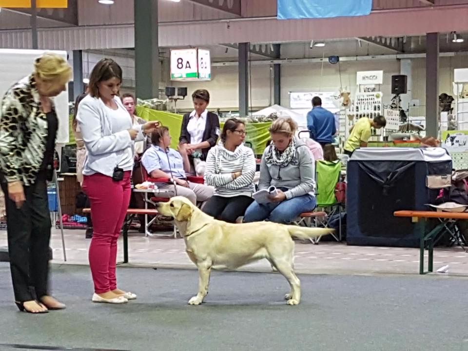 Du Petit Vey - Réserve de CACL au Luxembourg pour Mélusine