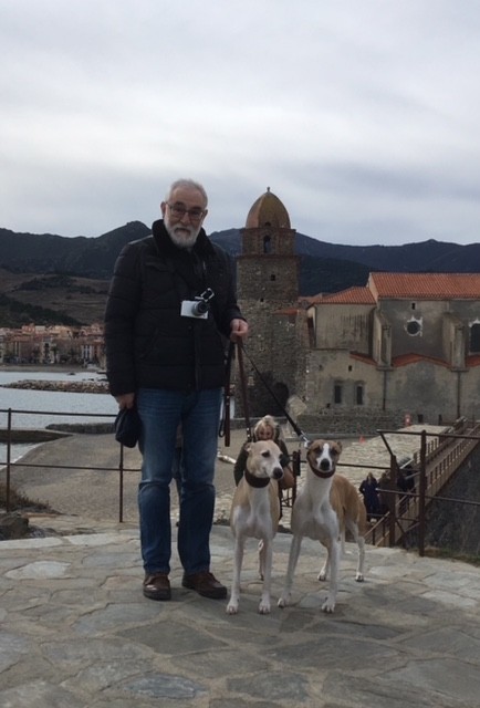 Du Cèdre Bleu De Monette - Escale au pays catalan....