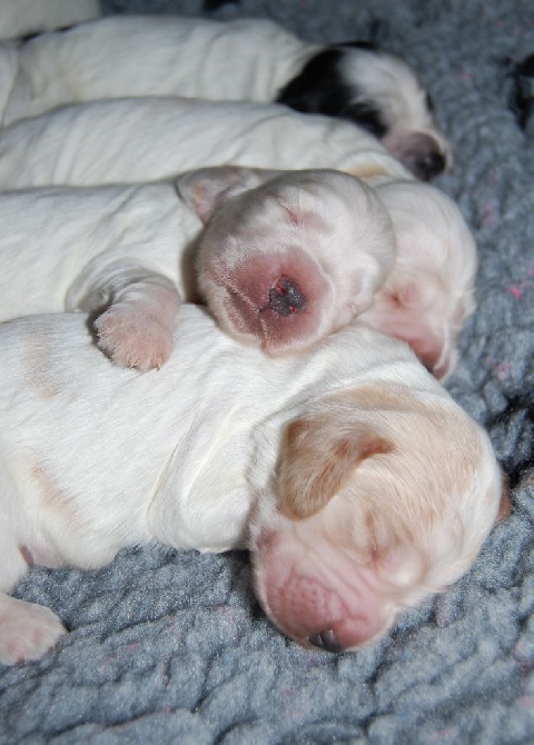 Clicaper's - Nouvelles photos des bébés à 1 semaine