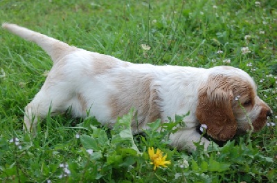 Clicaper's - Nouvelles photos des bébés !!!