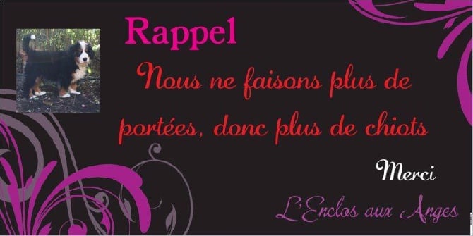 De L'Enclos Aux Anges - RAPPEL