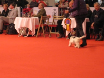 De Nature Paisible - Expo de Bruxelles ... avec bébés !