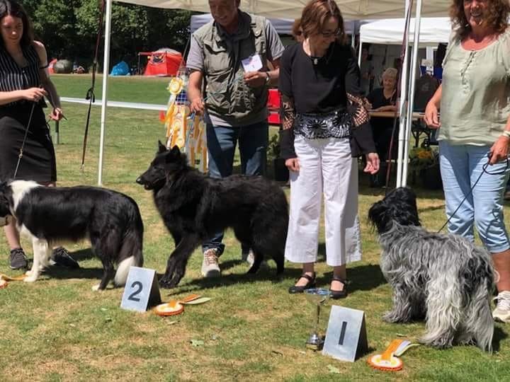 De Nature Paisible - Pré Fleuri BEST IN SHOW Roermond !!