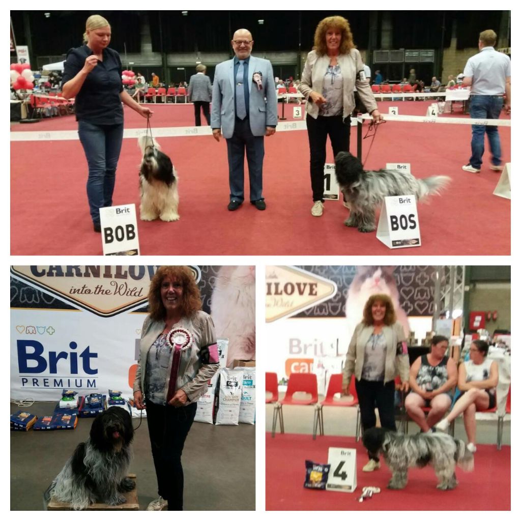 De Nature Paisible - Pré Fleuri : Youth Champion Belgium