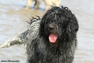 De Nature Paisible - Leyden : show result, and big pleasure in the sea ...