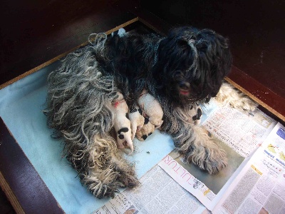 De Nature Paisible - Naissance - Geboorte - Birth