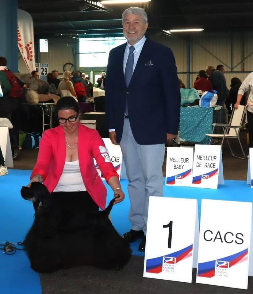 Dream Of Best In Show - CHAMPIONNAT DE FRANCE 2024