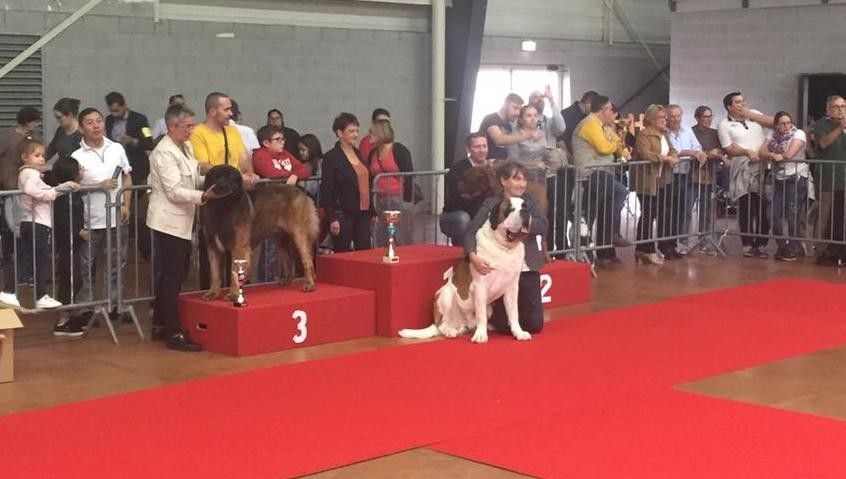 Champion des Nationales Française