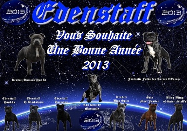 Edenstaff - Bonne et Heureuse année 2013 !!!