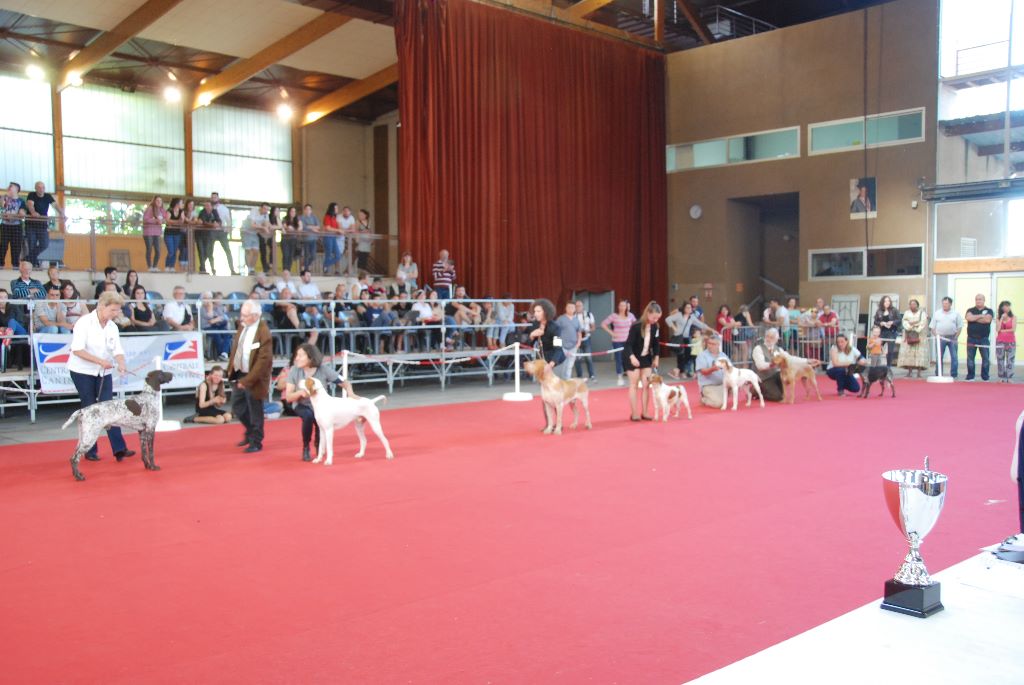 des plaines de septimanie - Exposition de Villeneuve sur Lot