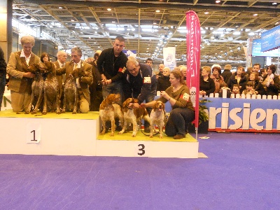 des plaines de septimanie - Concours Général Agricole 2012