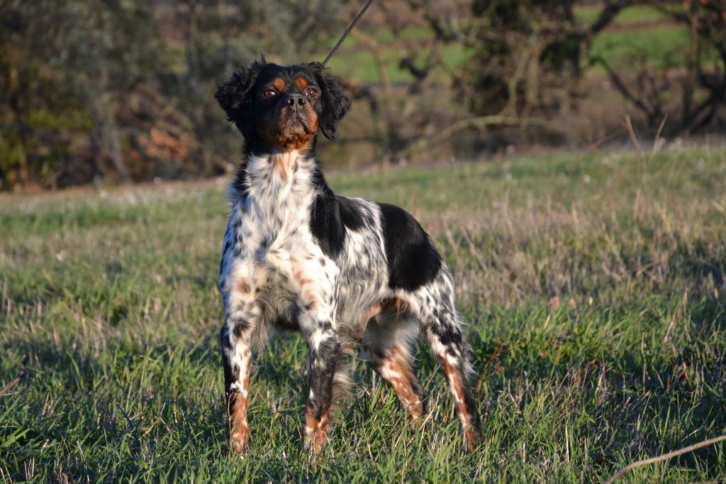 des plaines de septimanie - Ilton des Sources Claires