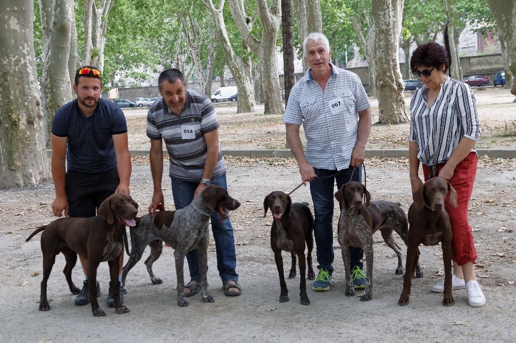 Du Serre De Lagarde - Nationale d'Elevage Beaucaire