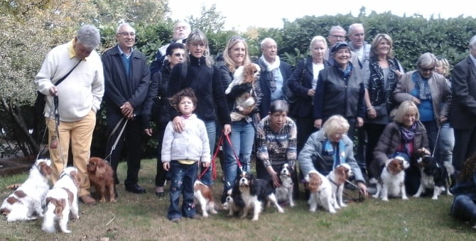 Du Souvenir Des Dicks - Journée Cavalier King Charles à Nans les Pins