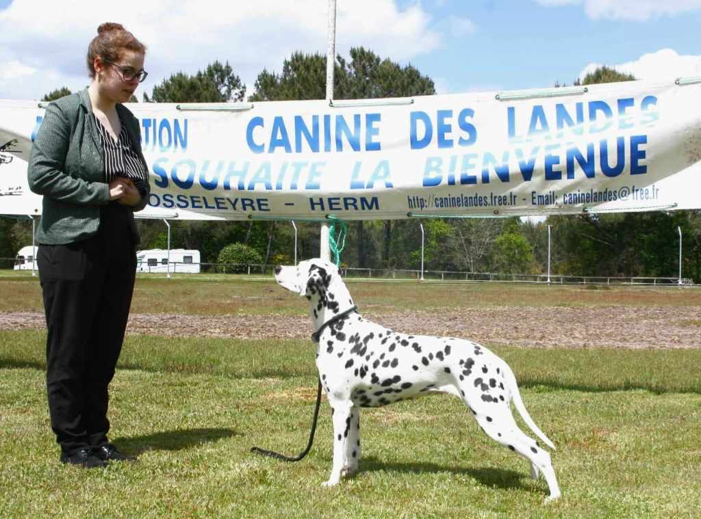 De la mare aux buis - Red Pearl River obtient un nouveau titre de champion 