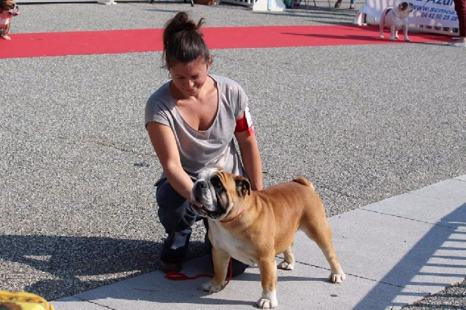 Des Anges Gardien De Giulia - Exposition de Golfe Juan