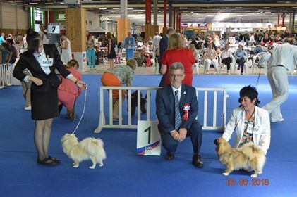 Du Jardin D'Ajna - Très bon Championnat de France Le Bourget 03/06/2018