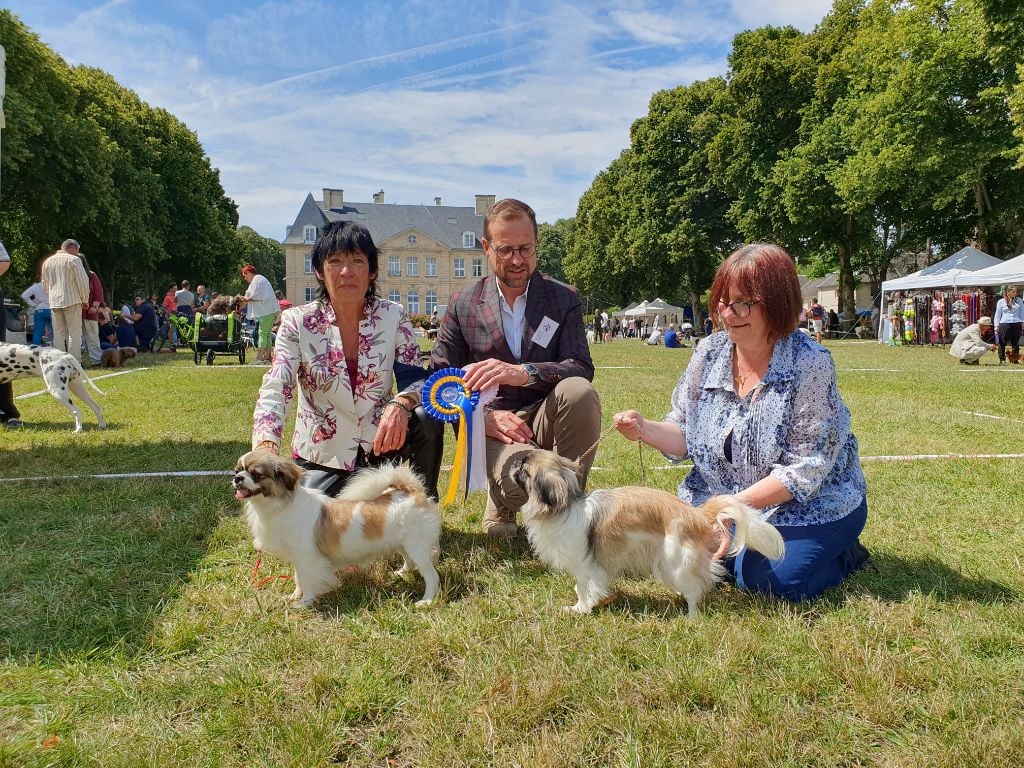 Du Jardin D'Ajna - EXPO NATIONALE CANINE MALTOT(14) SPECALE DE RACE