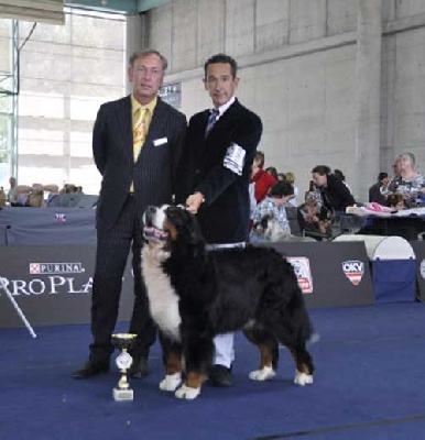 Du Chemin De La Morelie - VANADIS CHAMPION DU MONDE VETERAN