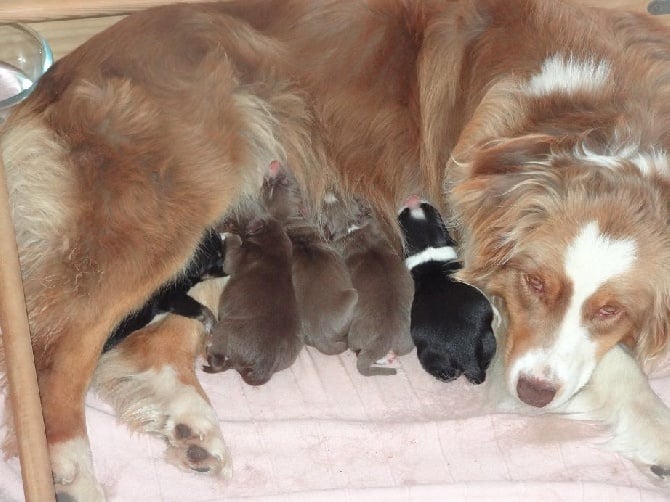 les bébés sont arrivés...