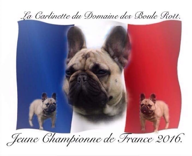 Du Domaine Des Boule Rott - Notre Nenette est JCHAMPIONNE de FRANCE