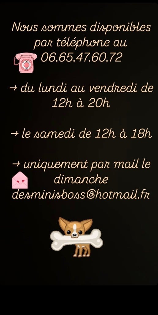 Des Minis Boss - Nos horaires 