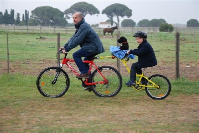 Des Diablotins De L'Ozon - EN VACANCES EN CAMARGUE...