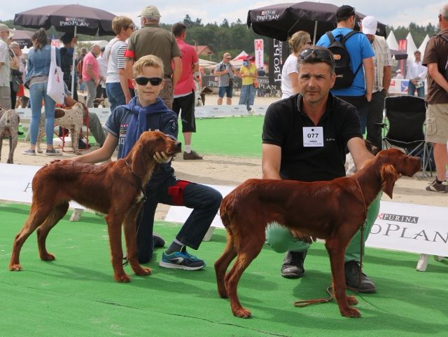 Du bois de balisy - Game Fair : 1ère exposition pour nos 2 jeunes mâles Niepse et N'del